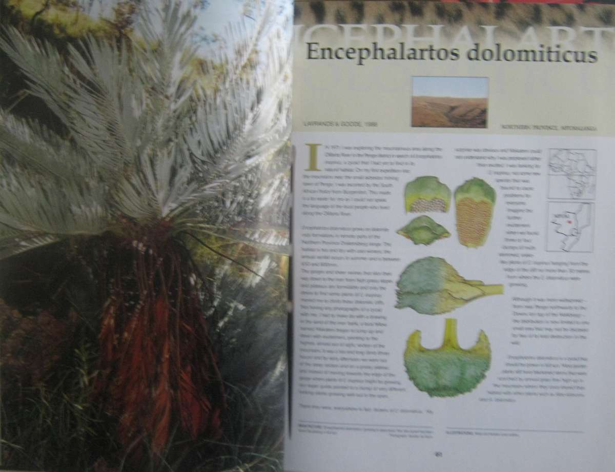 Cycads of Africa Volume 1 Douglas Goode