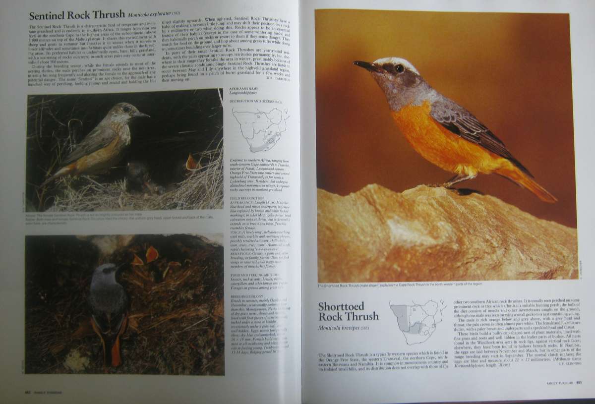 Complete Book of Southern African Birds P J Ginn |W G McIlleron | P le Milsteinn