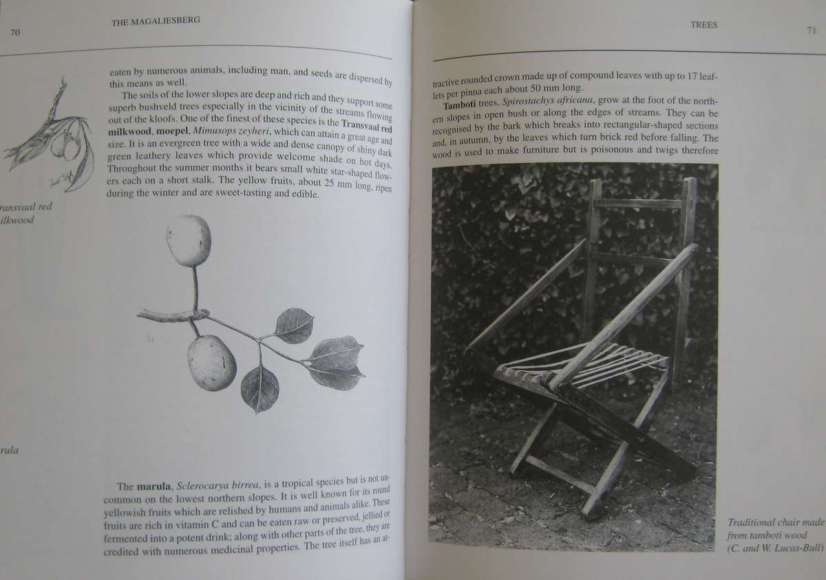 The Magaliesberg  Vincent Carruthers