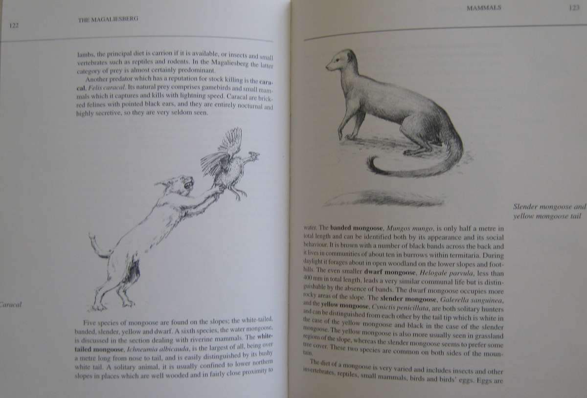 The Magaliesberg  Vincent Carruthers