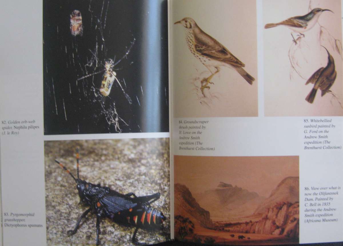 The Magaliesberg  Vincent Carruthers