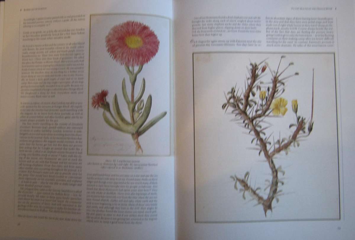 Robert Jacob Gordon The Man and his Travels at the Cape Patrick Cullinan