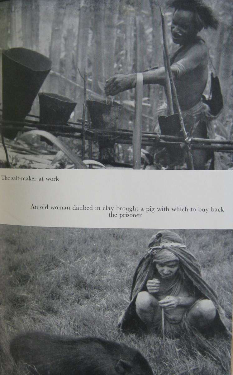 The Last Cannibals Jens Bjerre