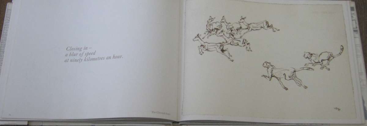 Drawn from Life A Portfolio of Wildlife Drawings. Signed by Zakkie Eloff & Sue Hart