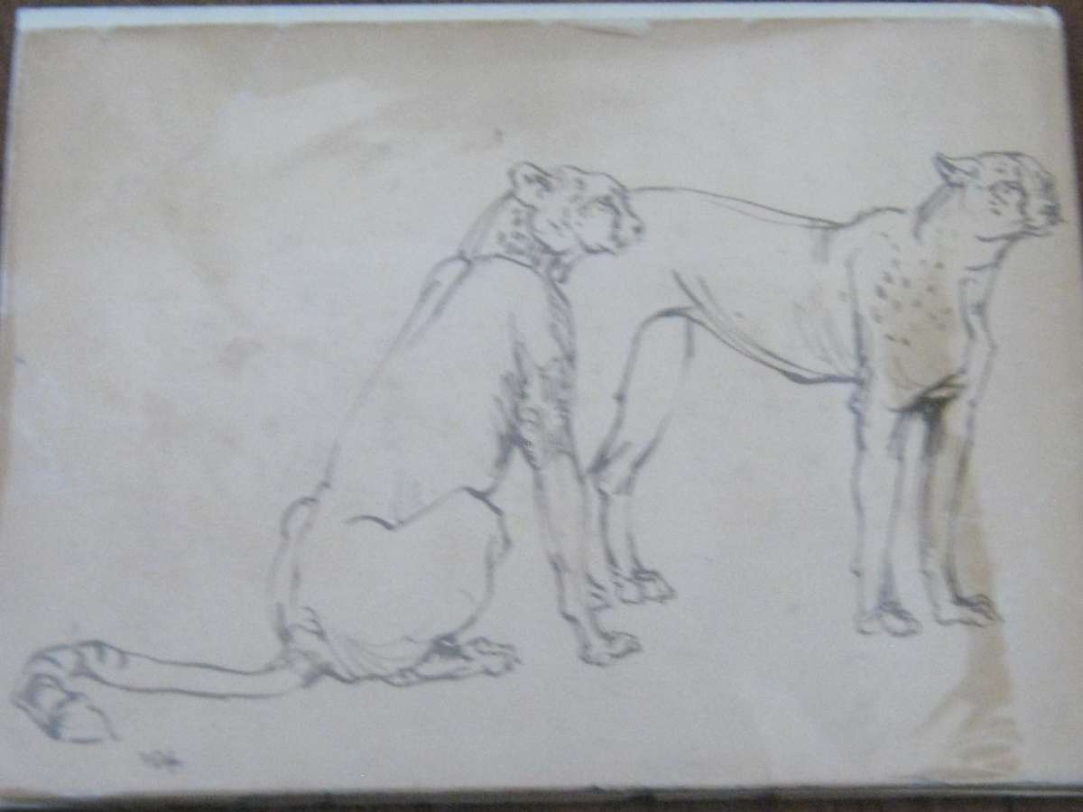 Drawn from Life A Portfolio of Wildlife Drawings. Signed by Zakkie Eloff & Sue Hart