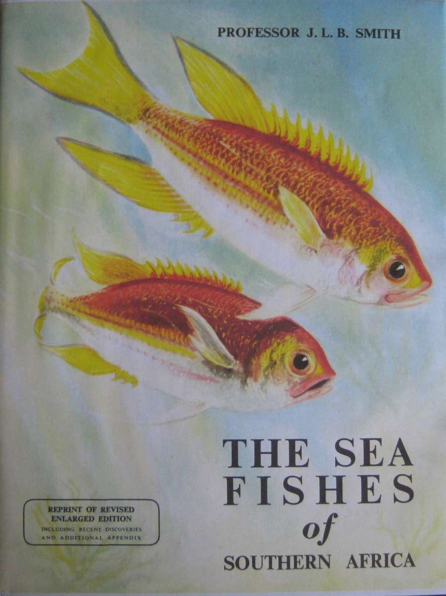 The Sea Fishes of Southern Africa J L B Smith