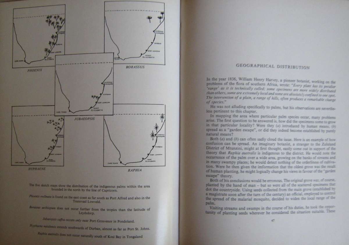 2 Palm Books: The Indigenous Palms of Southern Africa & Palms for Gardens in Southern Africa