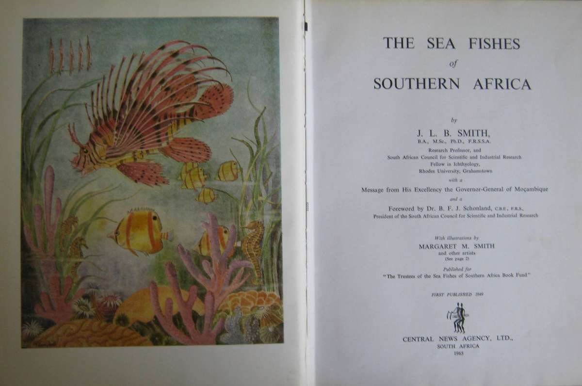 The Sea Fishes of Southern Africa J L B Smith
