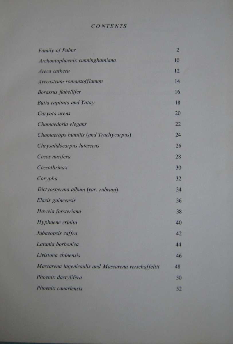 2 Palm Books: The Indigenous Palms of Southern Africa & Palms for Gardens in Southern Africa