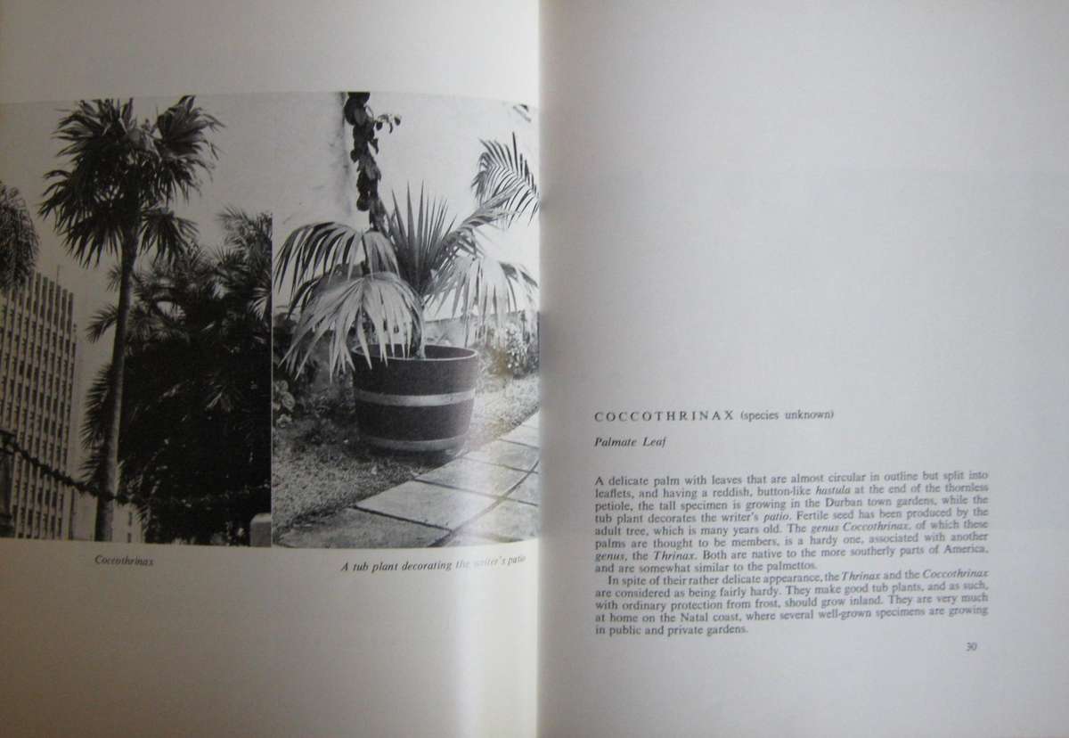 2 Palm Books: The Indigenous Palms of Southern Africa & Palms for Gardens in Southern Africa