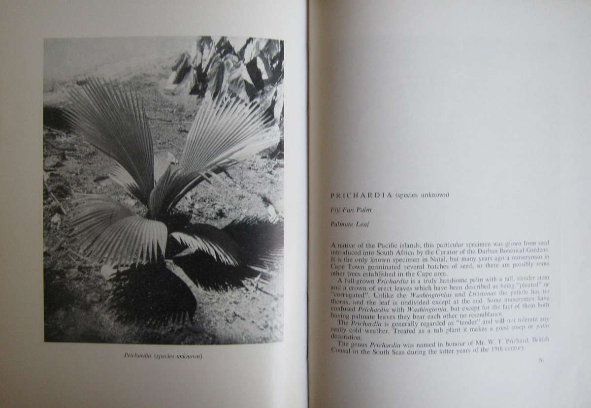 2 Palm Books: The Indigenous Palms of Southern Africa & Palms for Gardens in Southern Africa