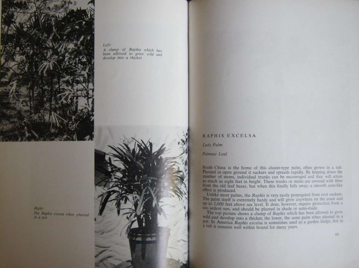 2 Palm Books: The Indigenous Palms of Southern Africa & Palms for Gardens in Southern Africa