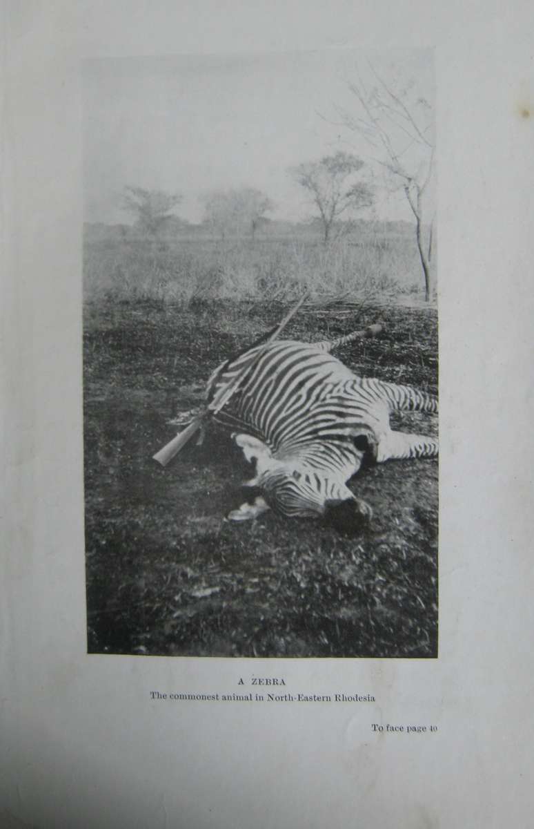 Big Game Hunting in North Eastern Rhodesia Owen Fletcher