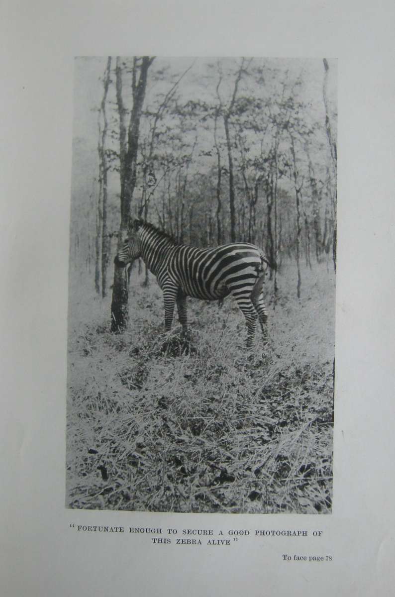 Big Game Hunting in North Eastern Rhodesia Owen Fletcher