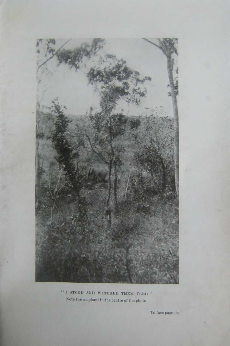 Big Game Hunting in North Eastern Rhodesia Owen Fletcher