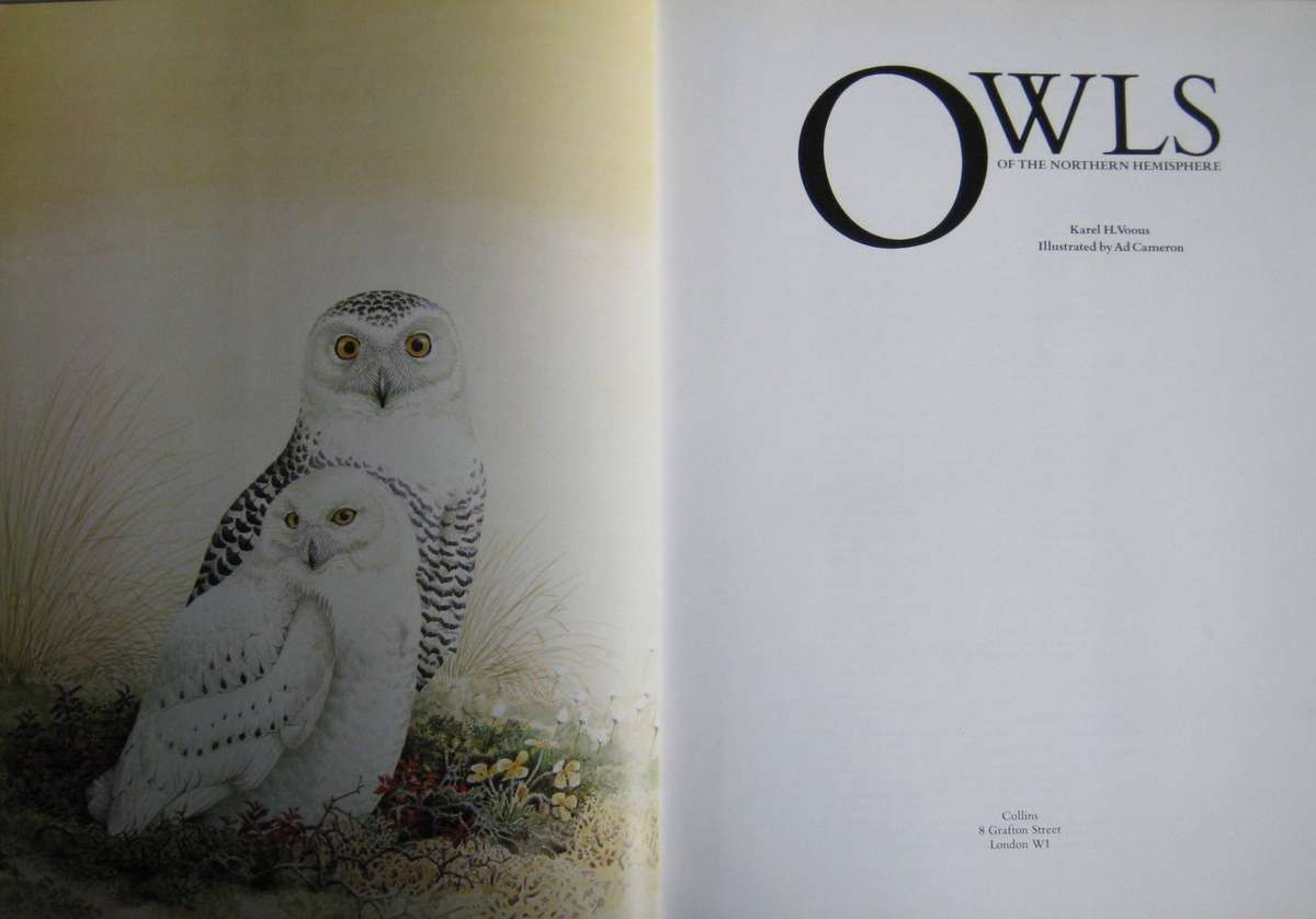 Owls of the Northern Hemisphere Karel H. Voous