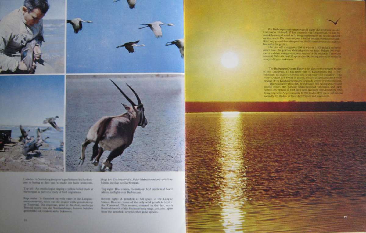 Transvaal 1961-71 The Growth and Progress of the Transvaal Provincial Administration