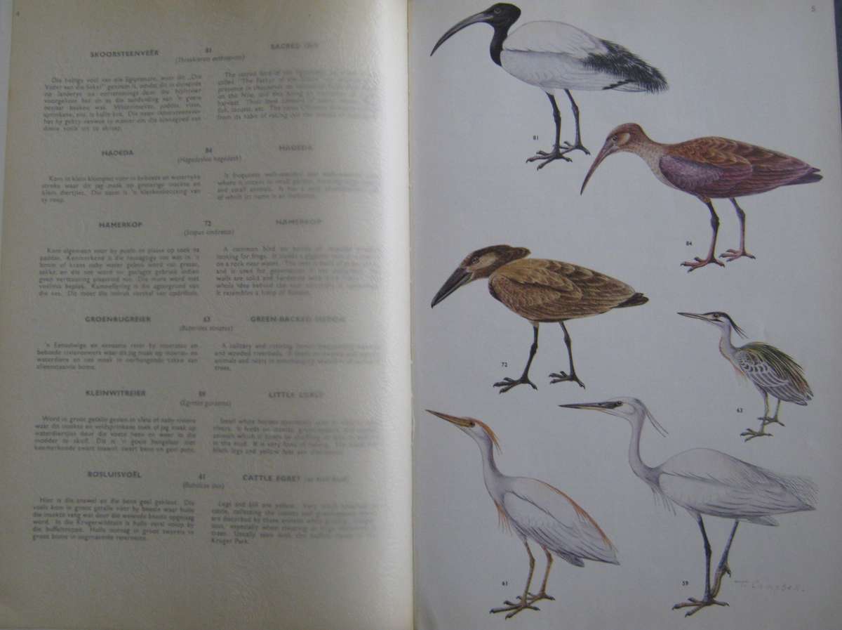 Birds of the Kruger and Other National Parks Stevenson-Hamilton Edition