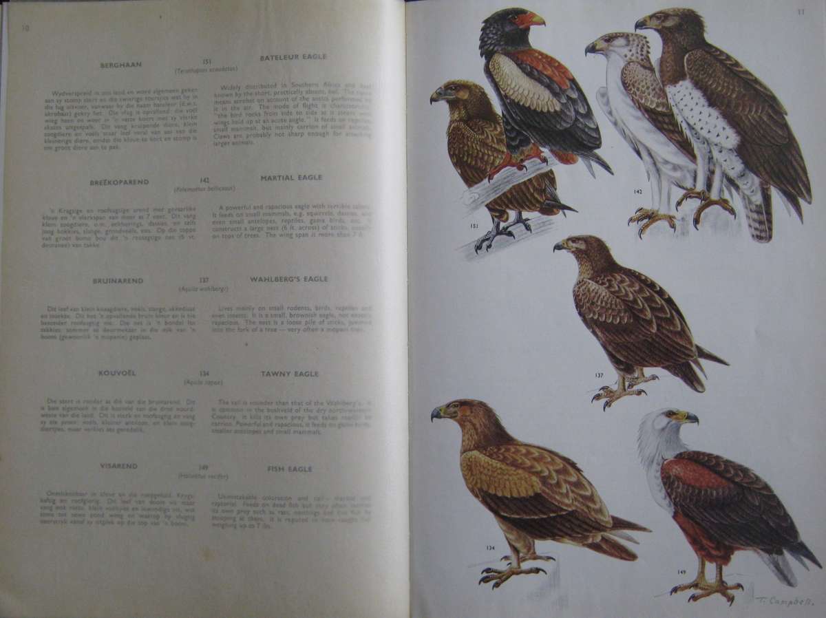 Birds of the Kruger and Other National Parks Stevenson-Hamilton Edition