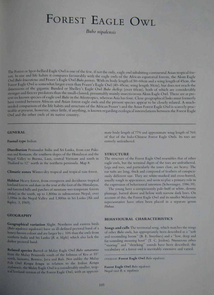 Owls of the Northern Hemisphere Karel H. Voous