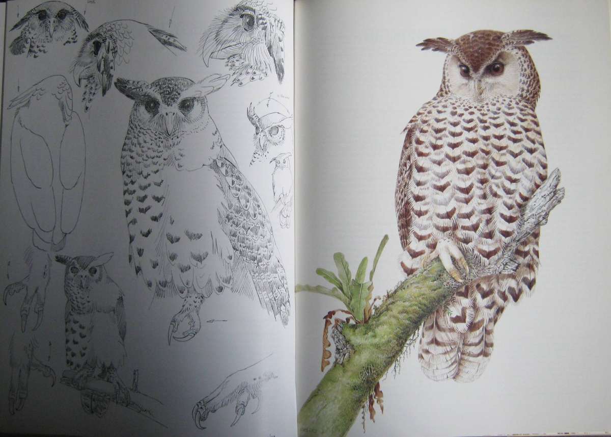 Owls of the Northern Hemisphere Karel H. Voous
