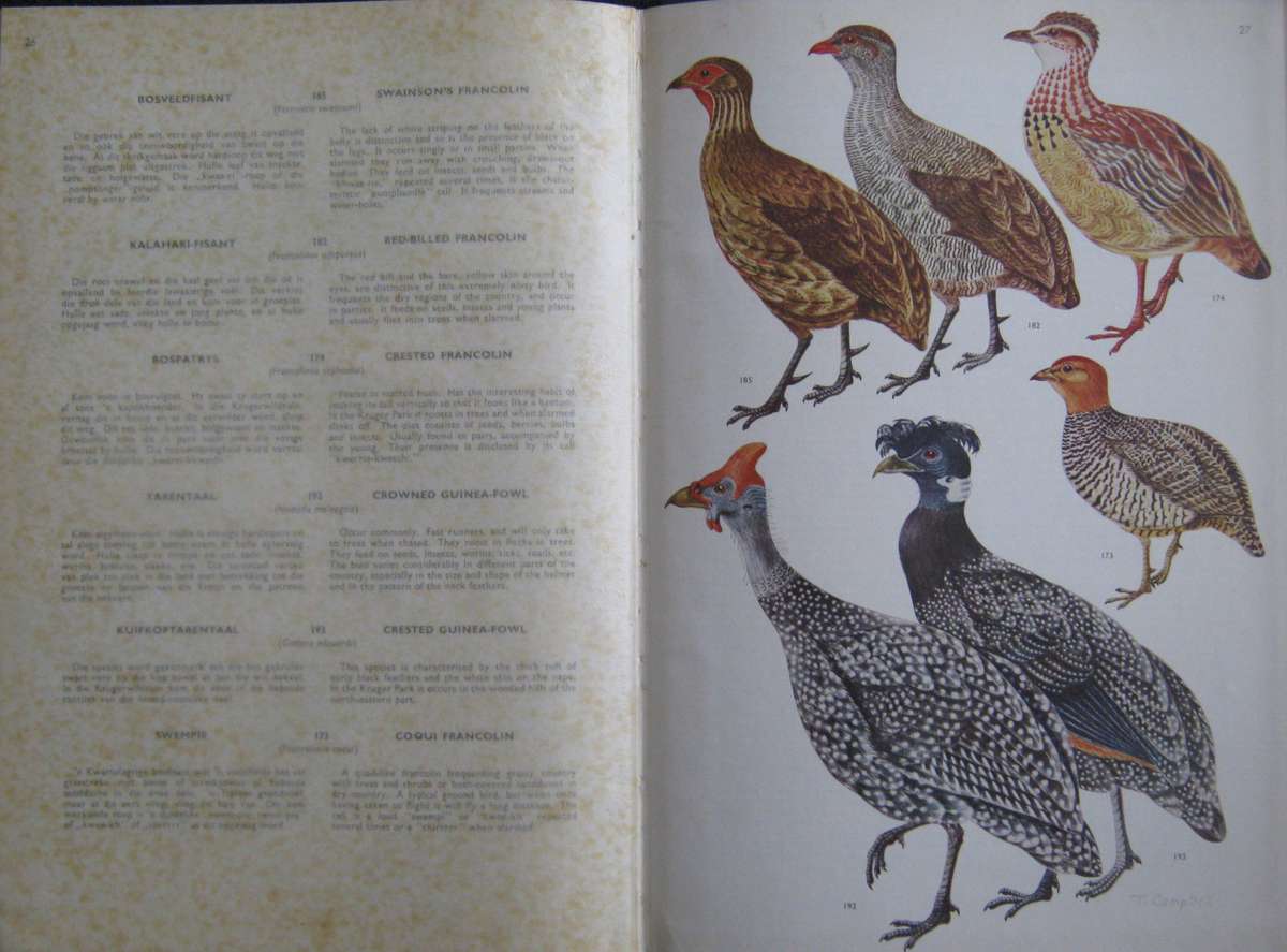 Birds of the Kruger and Other National Parks Stevenson-Hamilton Edition