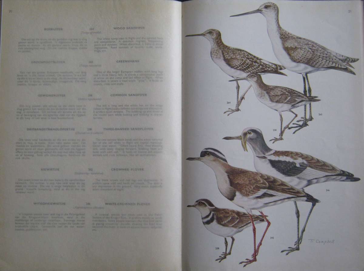 Birds of the Kruger and Other National Parks Stevenson-Hamilton Edition