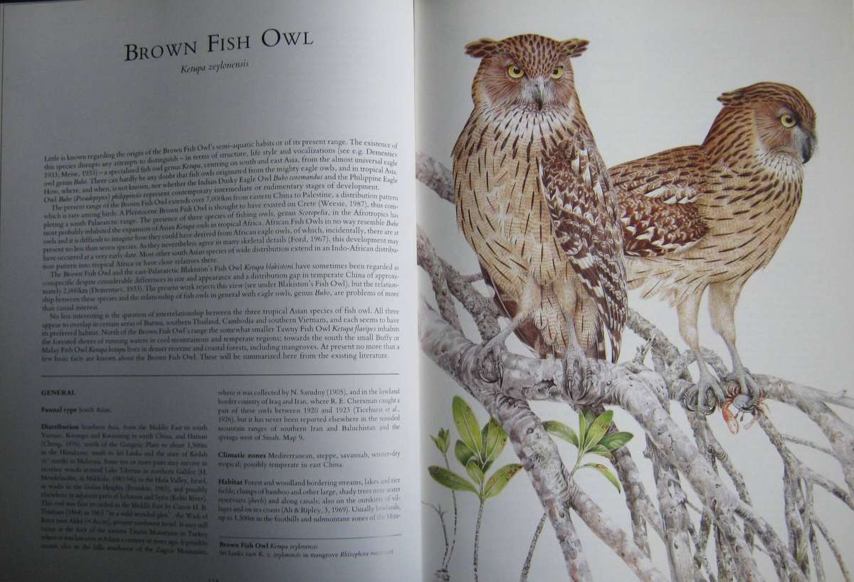 Owls of the Northern Hemisphere Karel H. Voous