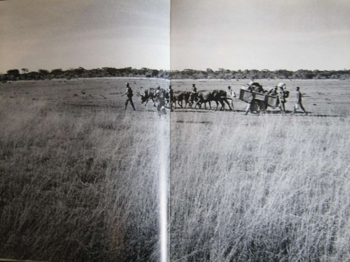 Savimbi's Angola Cloete Breytenbach