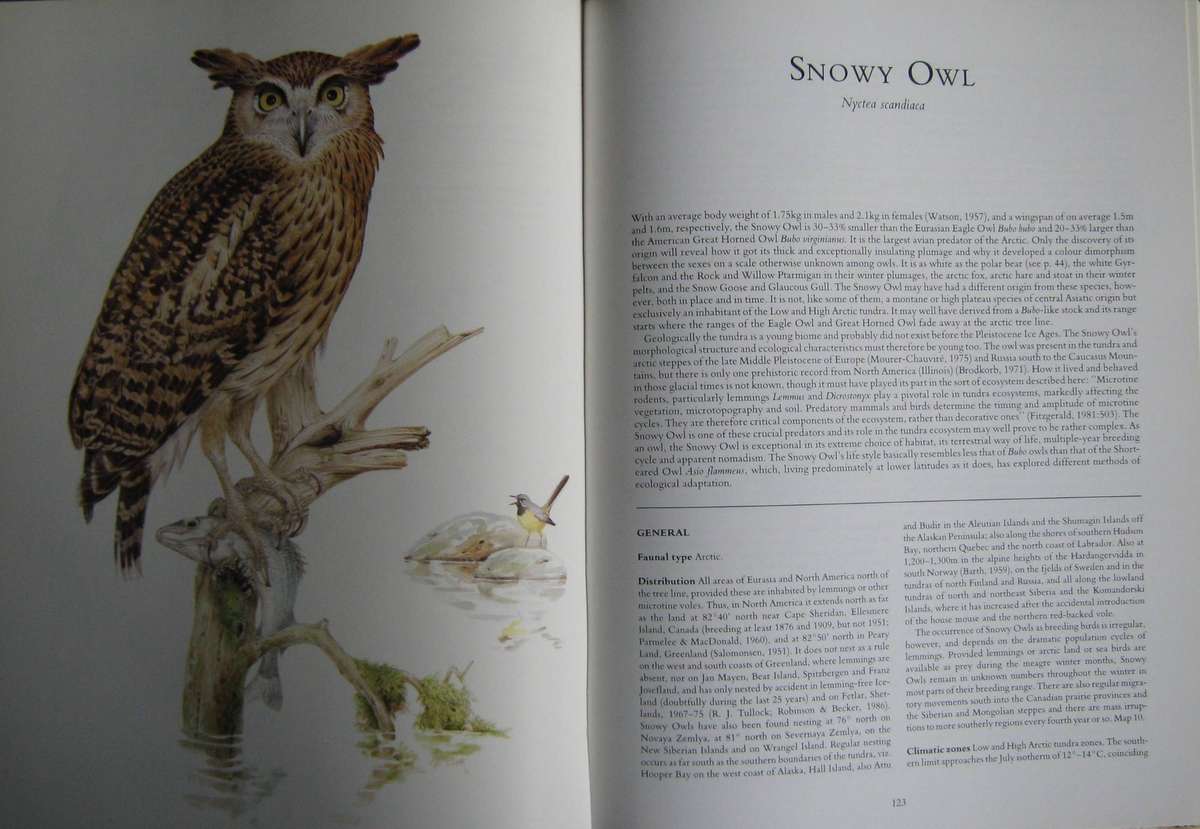 Owls of the Northern Hemisphere Karel H. Voous