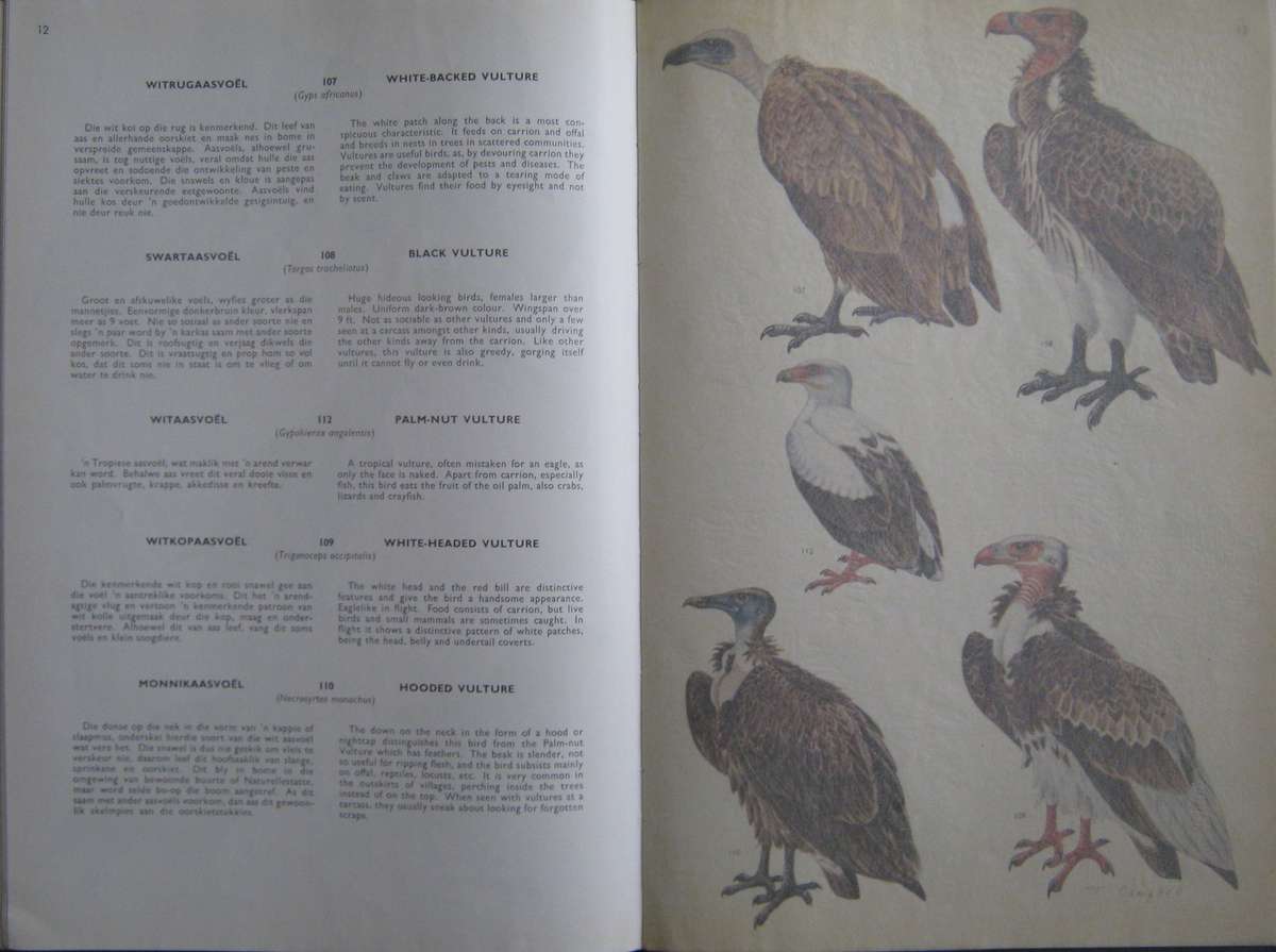Birds of the Kruger and Other National Parks Stevenson-Hamilton Edition