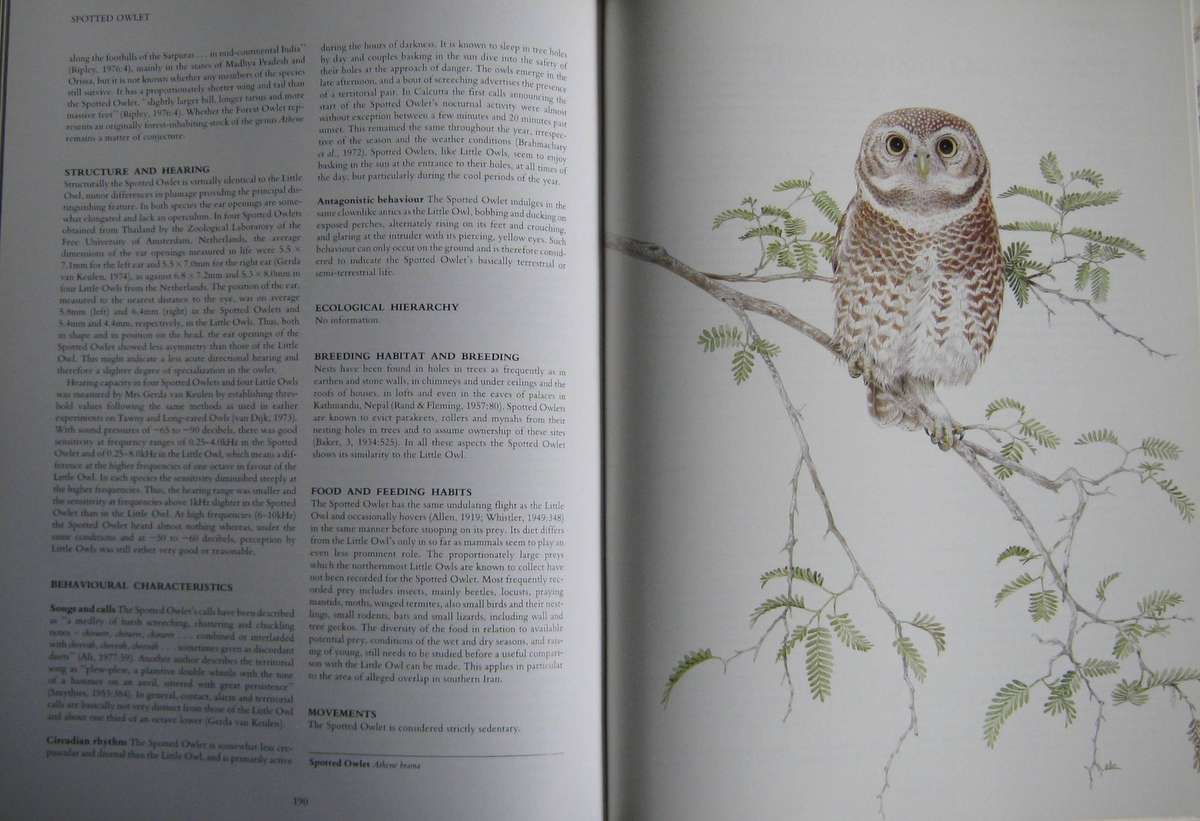 Owls of the Northern Hemisphere Karel H. Voous