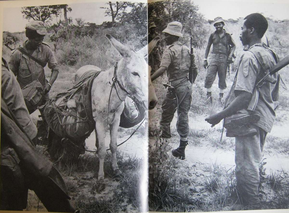 Savimbi's Angola Cloete Breytenbach