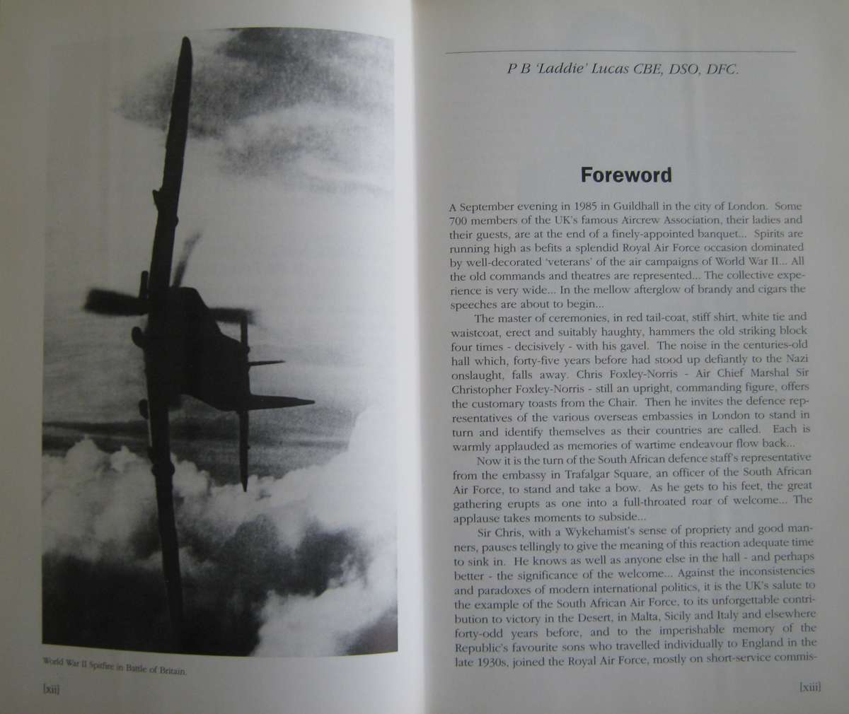 Warriors of the Sky. Springbok Air Heroes in Combat     Author: Peter Bagshawe   Publisher: Ashanti