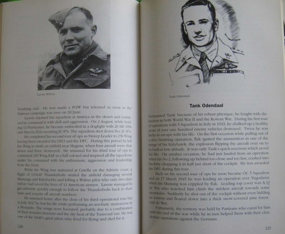 Warriors of the Sky. Springbok Air Heroes in Combat     Author: Peter Bagshawe   Publisher: Ashanti