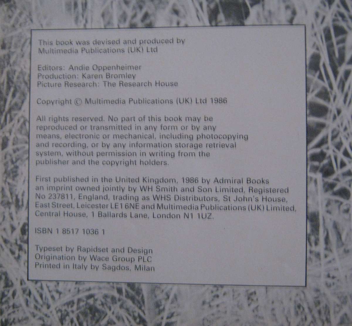 Soldiers of Fortune The Twentieth Century Mercenary   Author: Peter Macdonald    Publisher: Multime