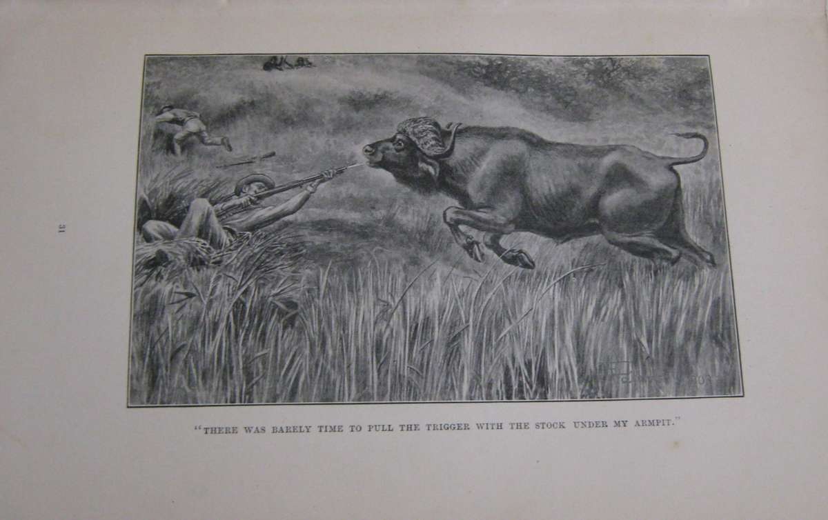 Big Game Shooting and Travel in South-East Africa F R N Findlay