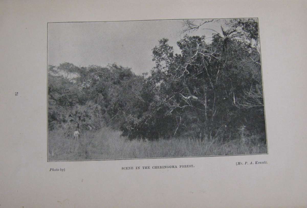 Big Game Shooting and Travel in South-East Africa F R N Findlay