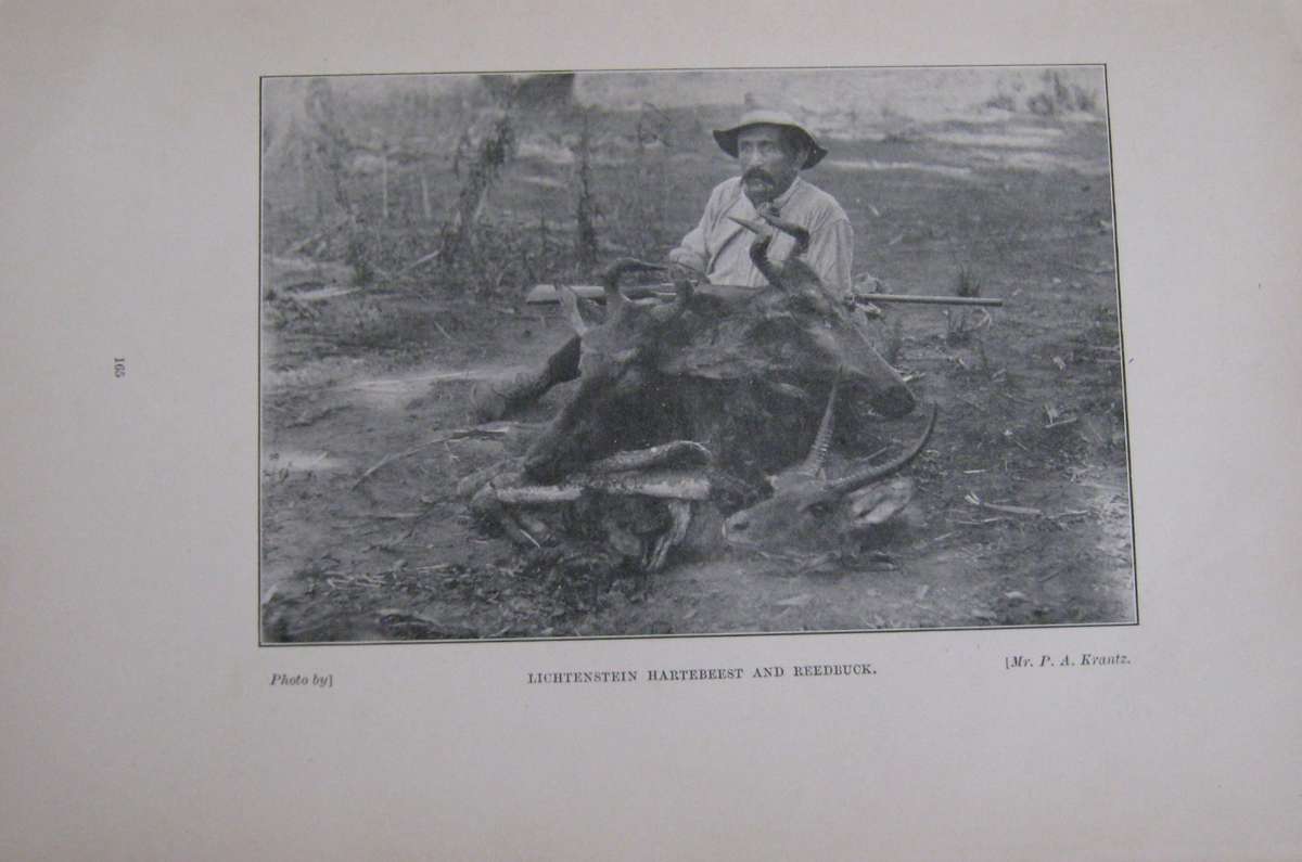 Big Game Shooting and Travel in South-East Africa F R N Findlay