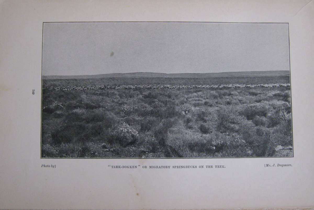 Big Game Shooting and Travel in South-East Africa F R N Findlay