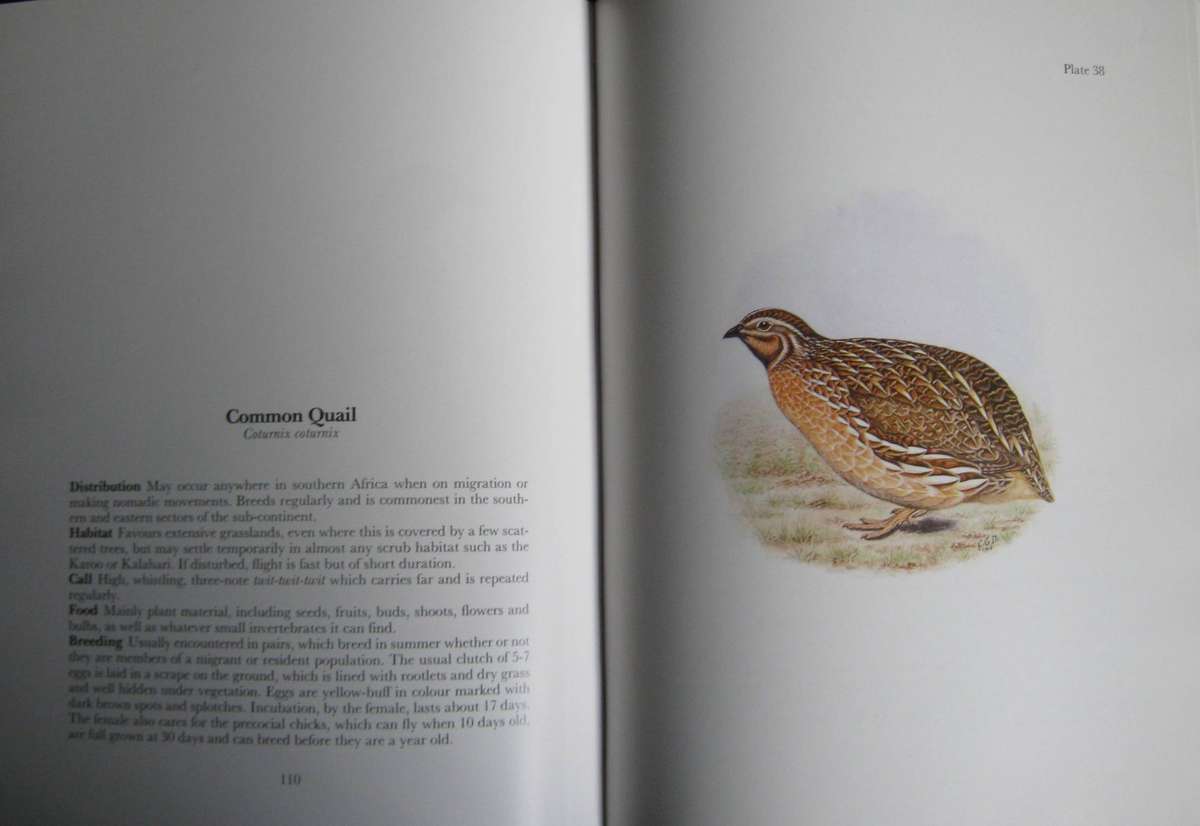 Gamebirds & Waterfowl of Southern Africa Collectors Limited Edition 39 of 250