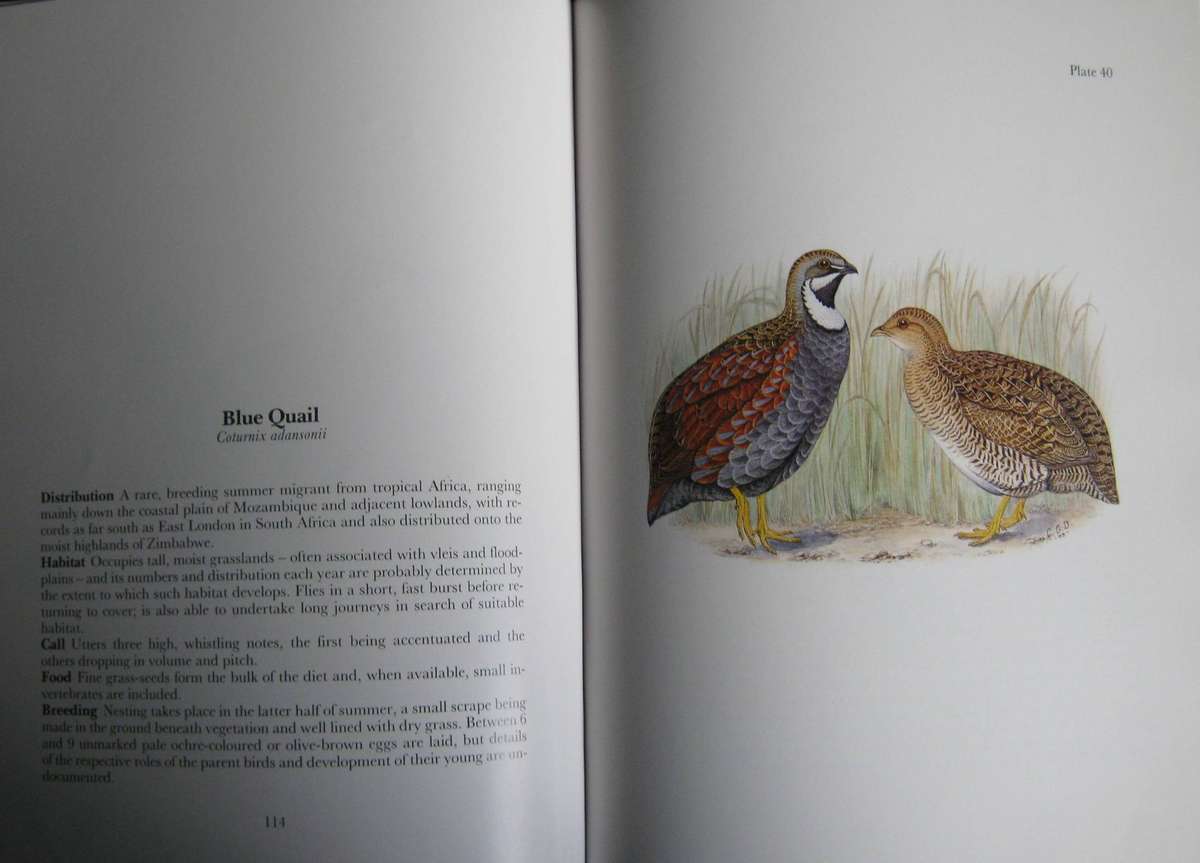 Gamebirds & Waterfowl of Southern Africa Collectors Limited Edition 39 of 250