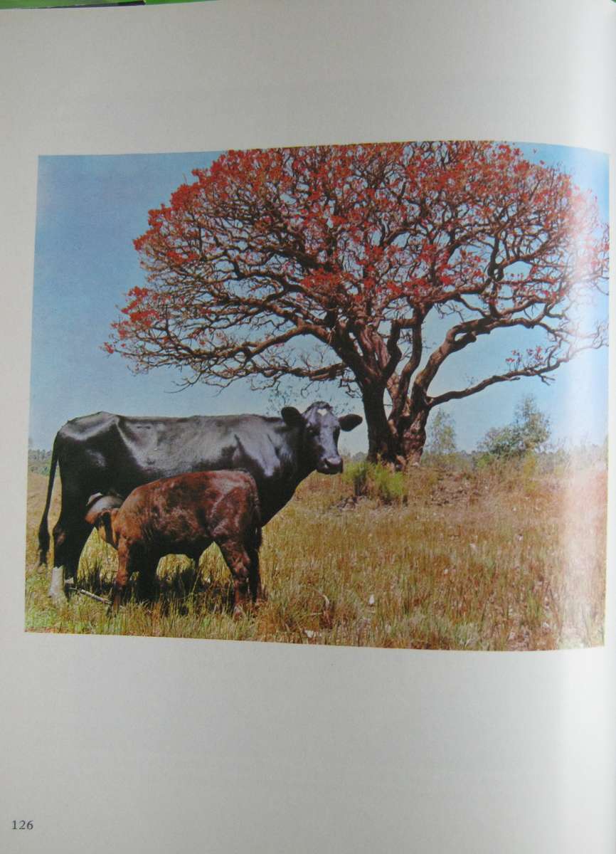 Farmer at War     Author: Trevor Grundy and Bernard Miller   Publisher: Modern Farming Publications,