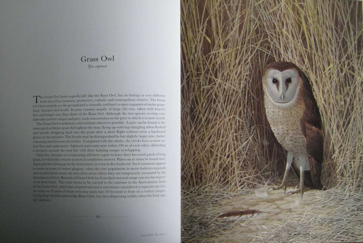 The Owls of Southern Africa Alan Kemp | Simon Calburn