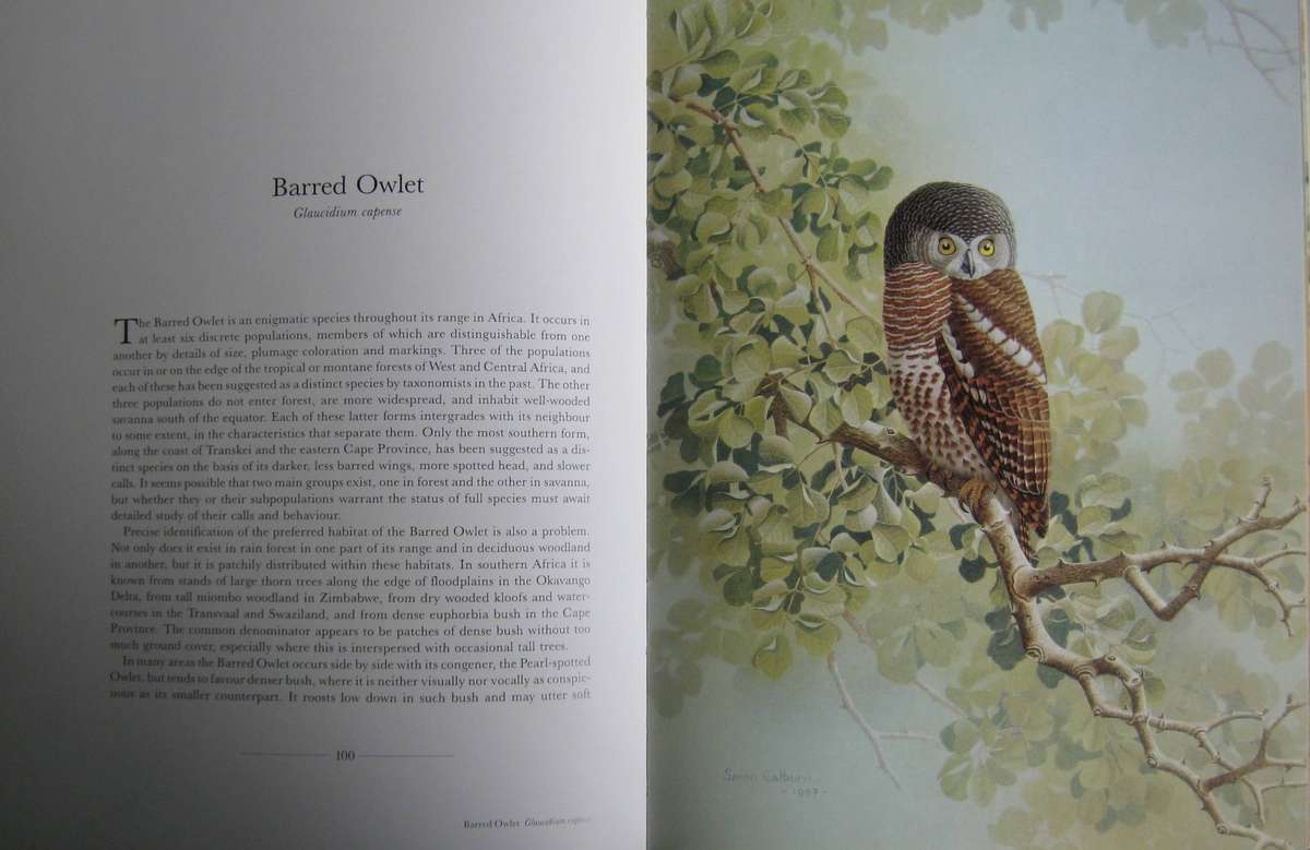The Owls of Southern Africa Alan Kemp | Simon Calburn