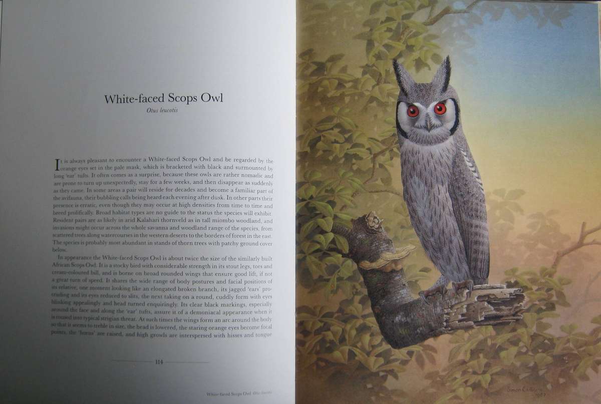 The Owls of Southern Africa Alan Kemp | Simon Calburn
