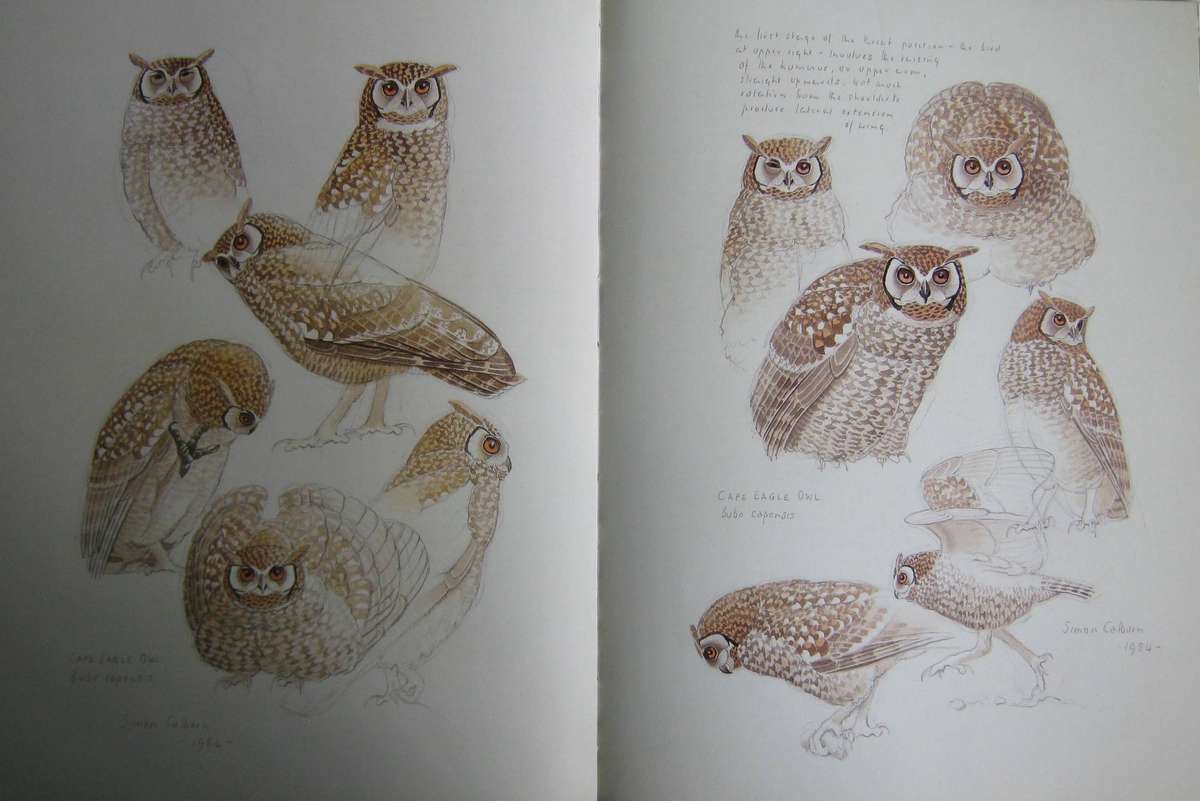 The Owls of Southern Africa Alan Kemp | Simon Calburn