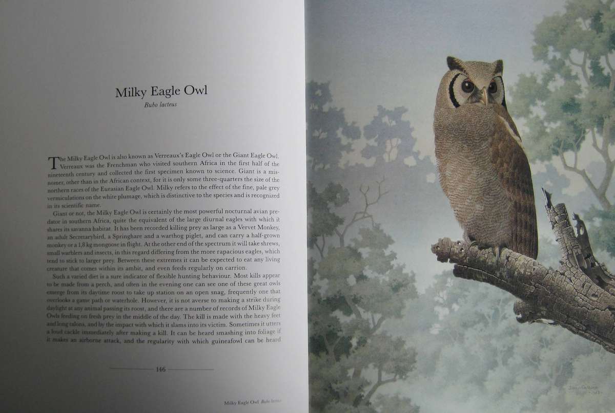 The Owls of Southern Africa Alan Kemp | Simon Calburn