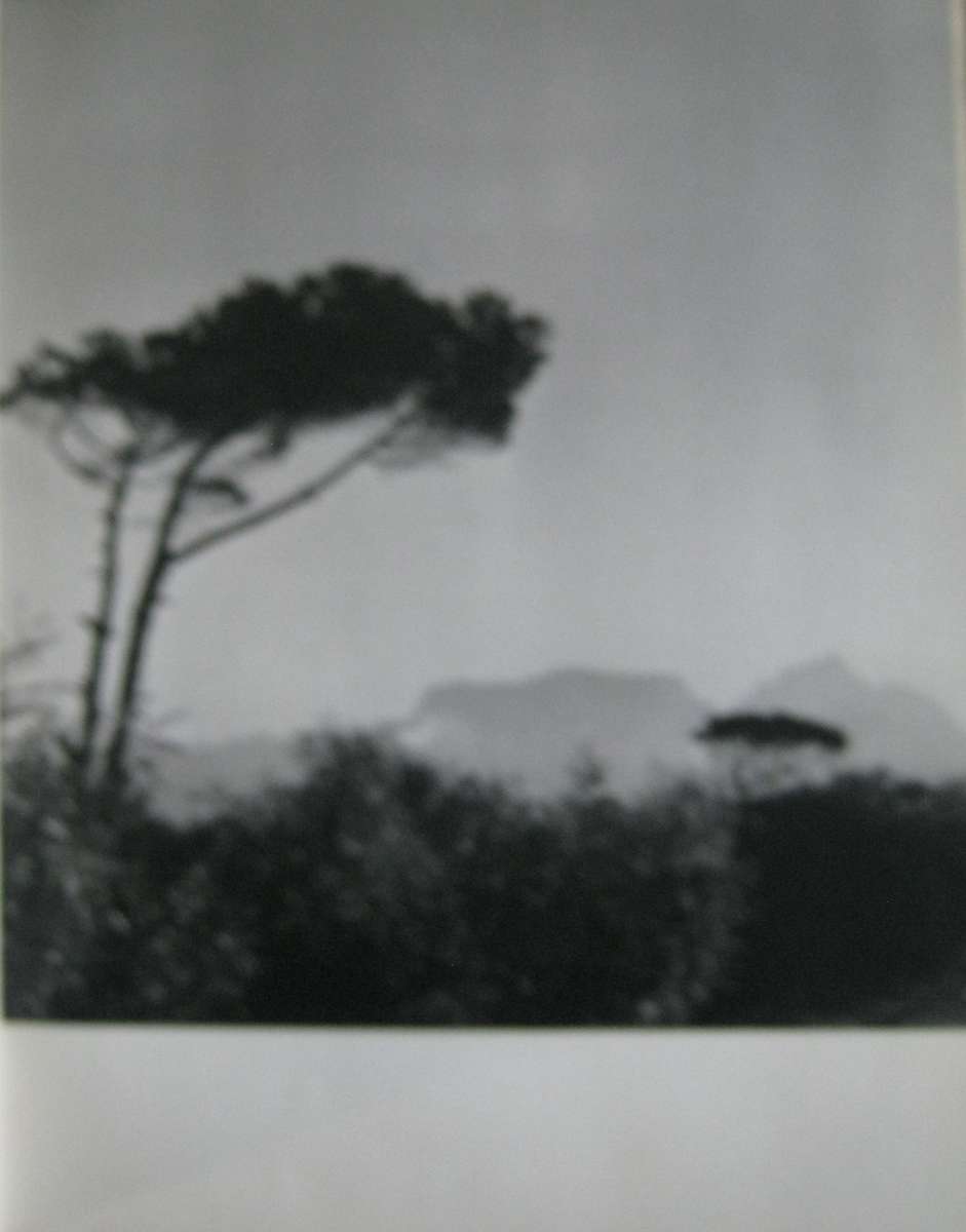Portrait of South Africa Hans Reich