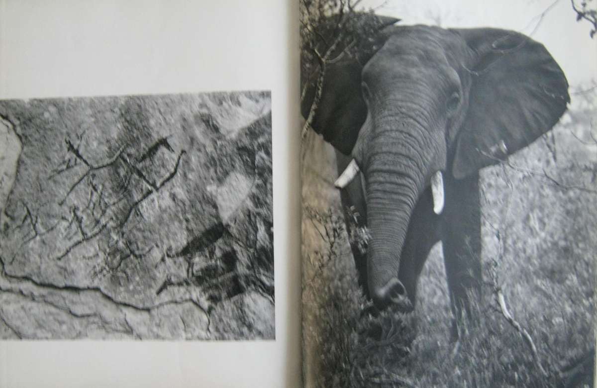 Portrait of South Africa Hans Reich